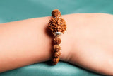 7 Mukhi Rudraksha Bracelet Jewellery