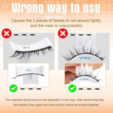Magnetic Eyelashes Pair of 1 Beauty & Personal Care