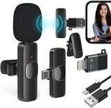 Wireless Microphone Electronics