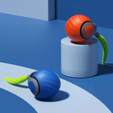 Kids Rolling Ball Cat Toy