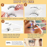 Magnetic Eyelashes Pair of 1 Beauty & Personal Care